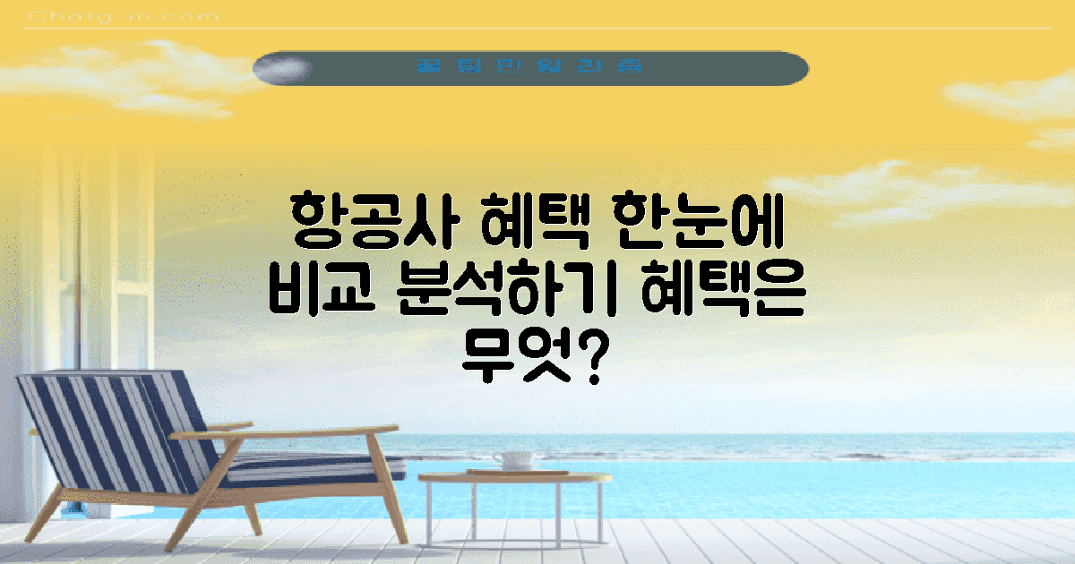 항공사별 혜택 대조