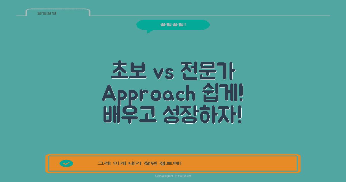 초보자와 전문가 접근