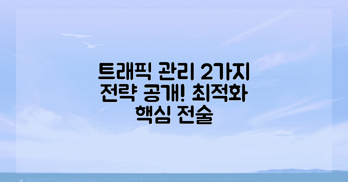 2가지 트래픽 관리 전략