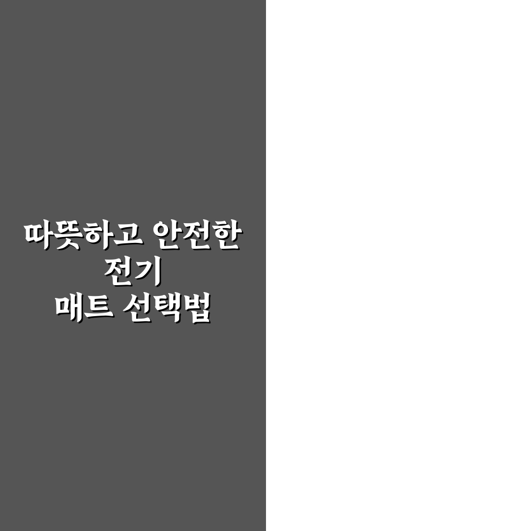 차박 캠핑 전기 매트 추천 제품과 사용 꿀팁 정리