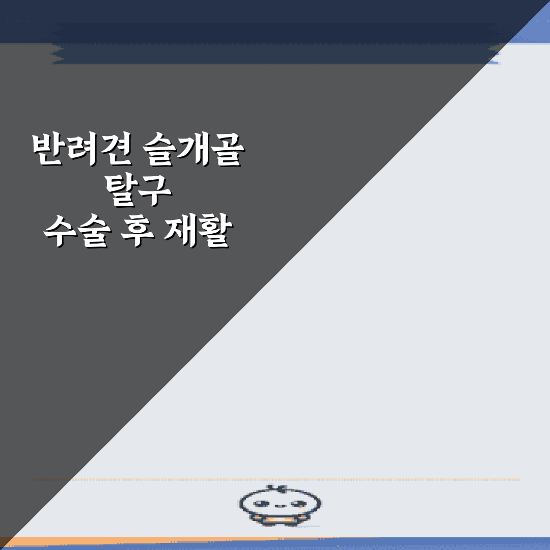 반려견 슬개골 탈구 수술 후 재활 운동 및 관리 방법 총정리 7가지 비법