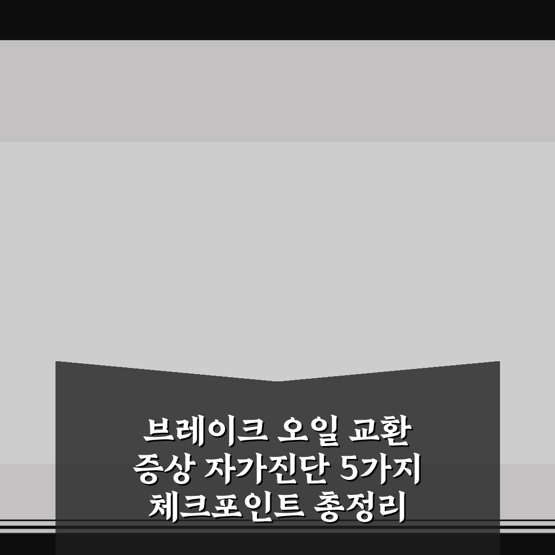 브레이크 오일 교환 증상 자가진단 5가지 체크포인트 총정리