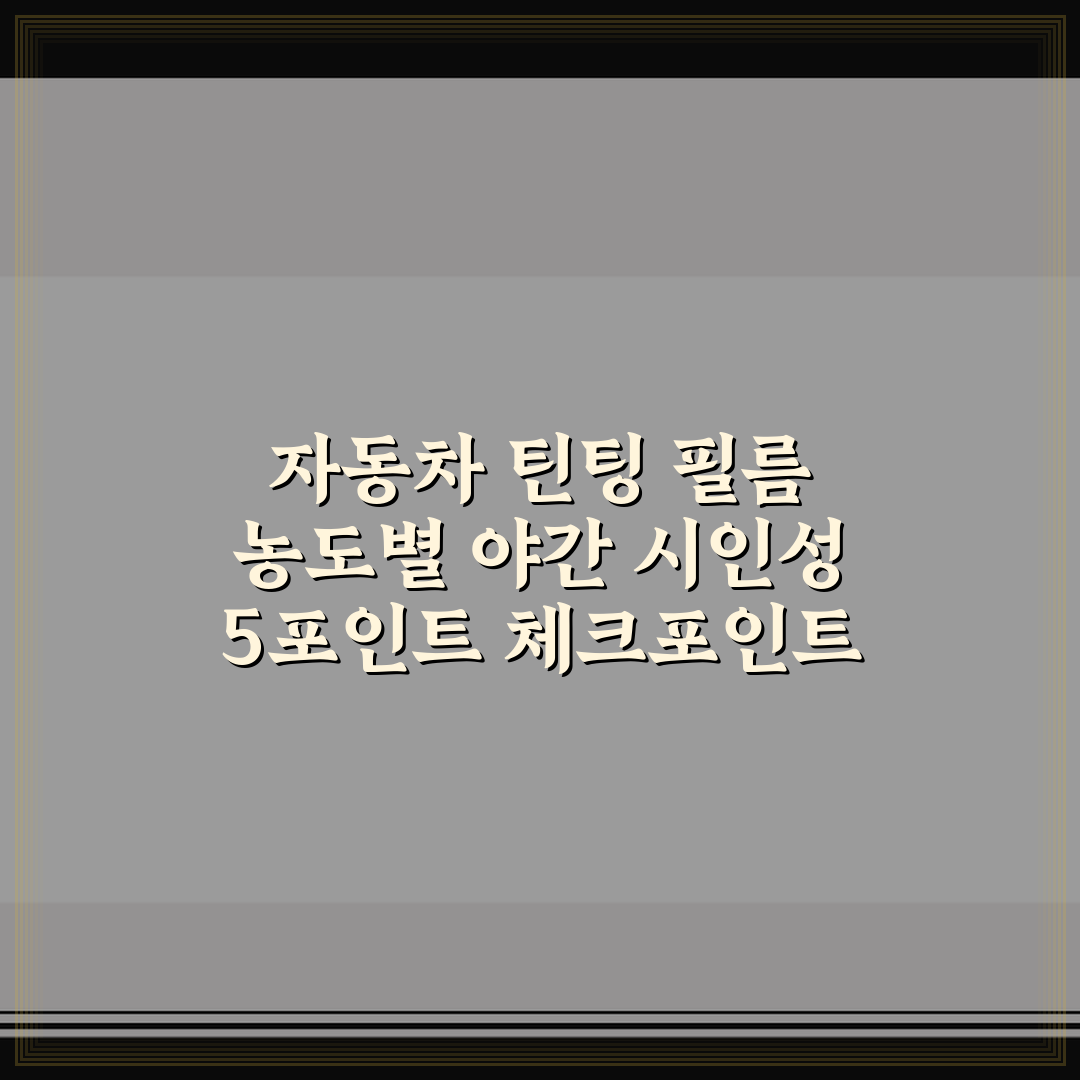 자동차 틴팅 필름 농도별 야간 시인성 5포인트 체크포인트 총정리