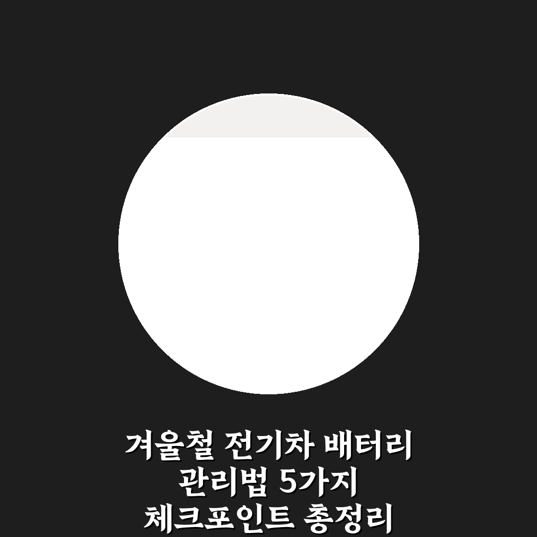 겨울철 전기차 배터리 관리법 5가지 체크포인트 총정리