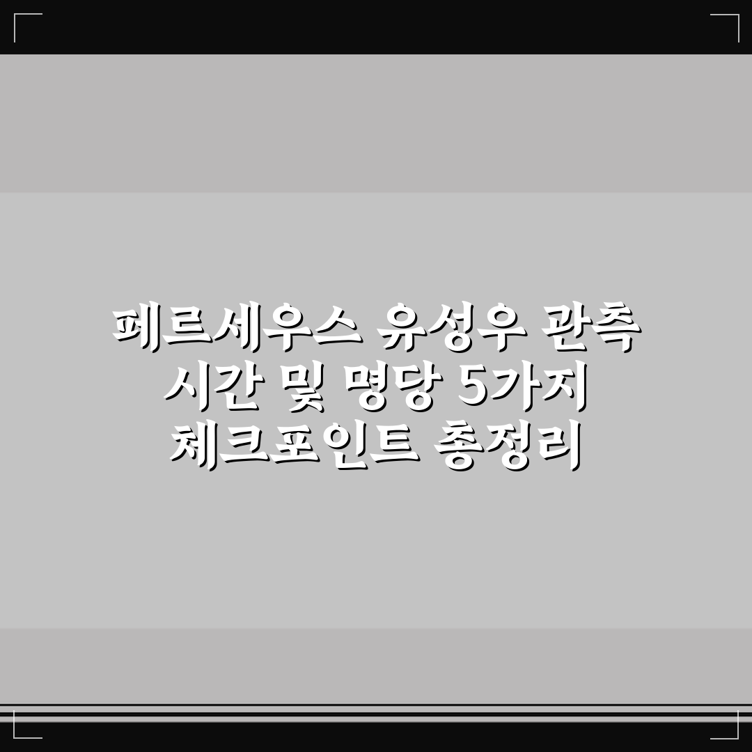 페르세우스 유성우 관측 시간 및 명당 5가지 체크포인트 총정리