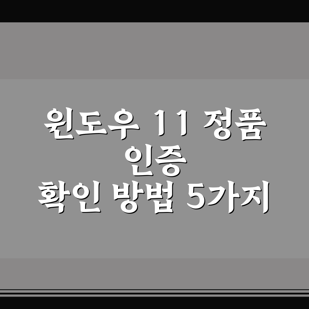 윈도우 11 정품 인증 확인 방법 5가지 체크포인트 총정리
